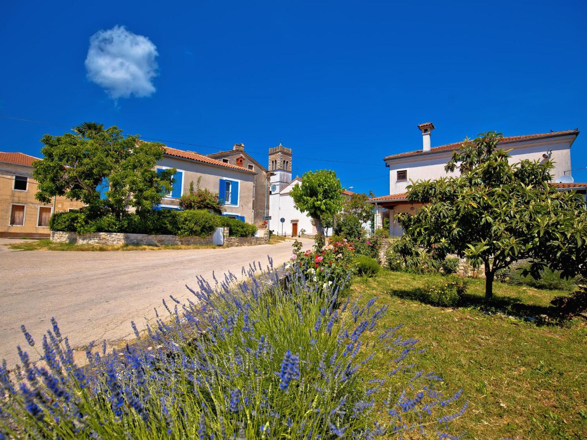 Holiday Home Villa Lucky By Interhome Brtonigla Extérieur photo